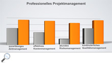Previewbild zu Projektmanagement